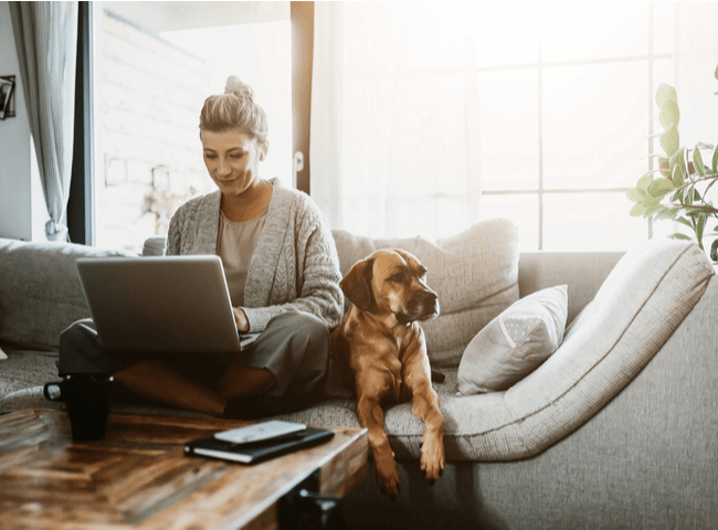 Businesswoman working on laptop computer sitting at home with a dog